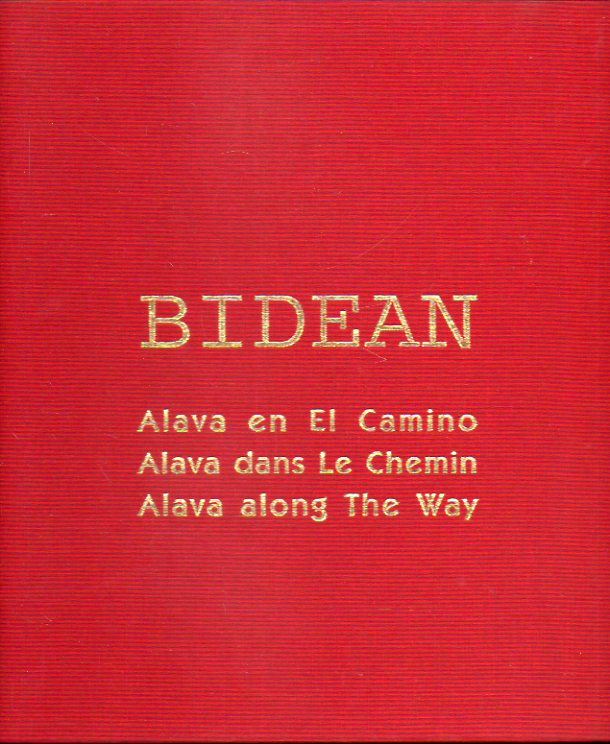 BIDEAN. LAVA EN EL CAMINO. LAVA DANS LE CHEMIN. ALAVA ALONG THE WAY.