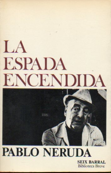 LA ESPADA ENCENDIDA.