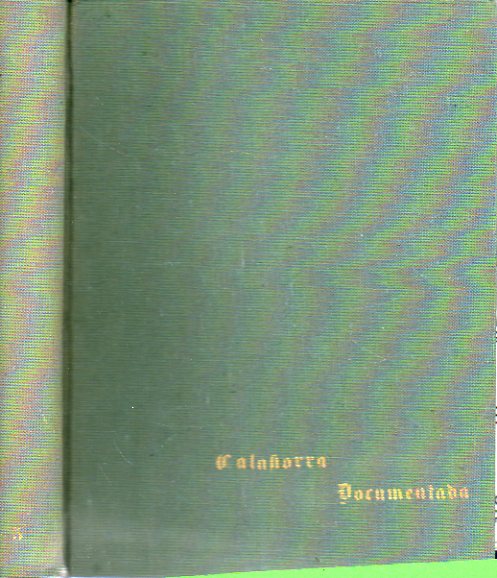 CALAHORRA DOCUMENTADA. 5. HISTORIA DE CALAHORRA DOCUMENTADA. Tomo XII. Siglo XX (Tercera Parte). Tomo XIII. Siglo XX (Cuarta Parte). Tomo XIV. Siglo X