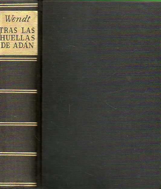 TRAS LAS HUELLAS DE ADN. La novela del origen del hombre.