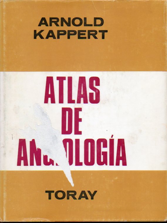 ATLAS DE ANGIOLOGA. Enfermedades de arterias, venas, capilares y vasos linfticos de las extremidades. Diagnstico y tratamiento. Patogenia, Anatoma