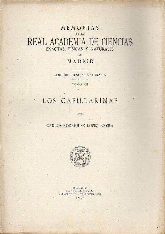 LOS CAPILLARINAE.