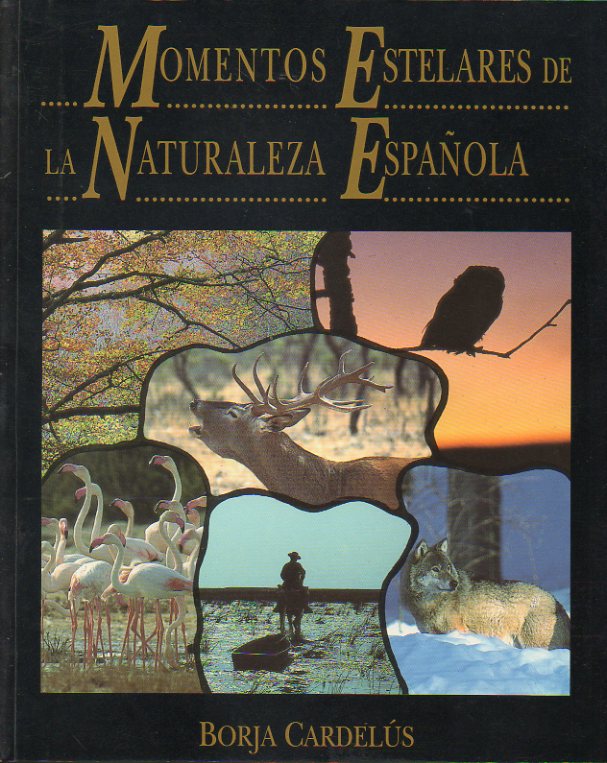 MOMENTOS ESTELARES DE LA NATURALEZA ESPAOLA. Colaboraciones de Miguel Debiles, J. M. Caballero Bonald, Alfonso de Urquijo, Jos M de Areilza,, Juan