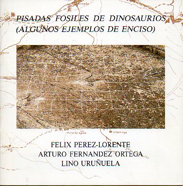 PISADAS FSILES DE DINOSAURIOS (ALGUNOS EJEMPLOS DE ENCISO)