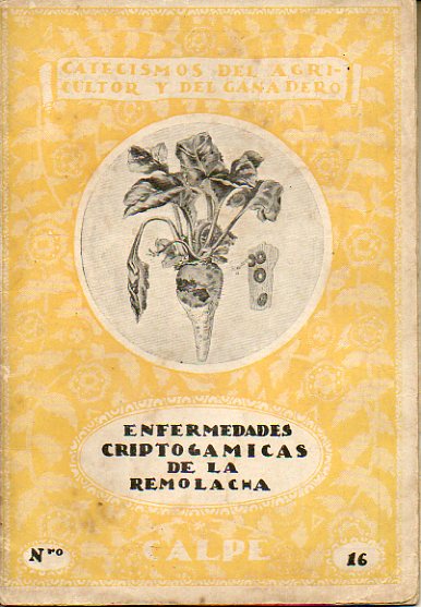 ENFERMEDADES CRIPTOGRMICAS DE LA REMOLACHA.