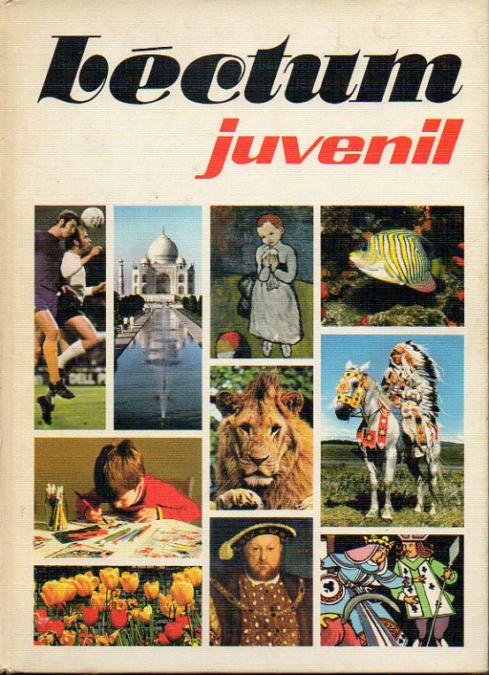 LCTUM JUVENIL. Vol. 19. Las naciones del frica central y occidental. Geometra y formas geomtricas. El cine. Cmo se toca la flauta dulce. La liter