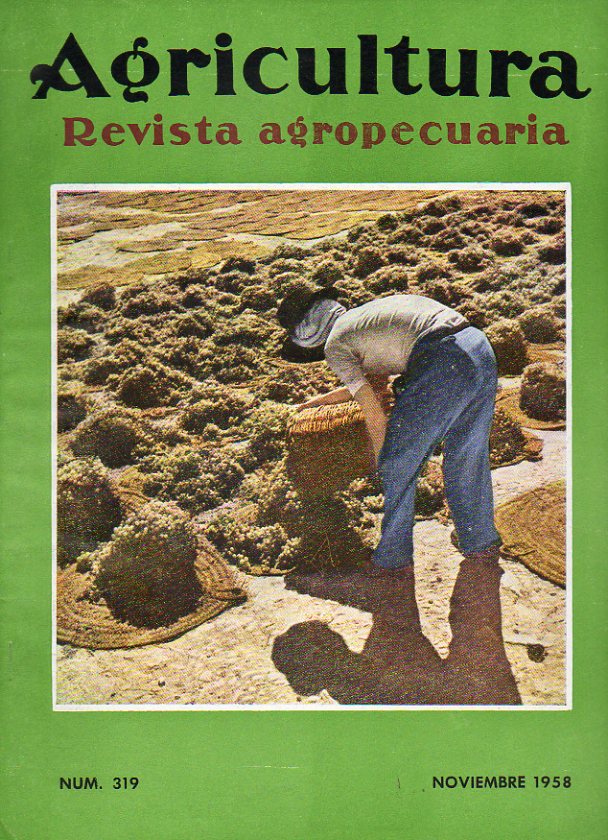 AGRICULTURA. Revista Agropecuaria. N 319. El mercado de lana; Aumento de la produccin unitaria en el olivar; Mr. Button opina sobre ganadera; Corol