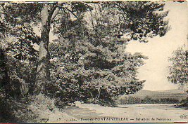 Tarjeta Postal: 2320. FORT DE TONTAINEBLEAU. Belvdre de Nmorosa.