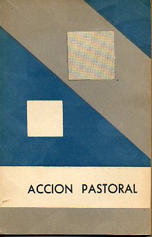 LA ACCIN PASTORAL EN NUESTRA DICESIS (NORMAS Y PROPSITOS).