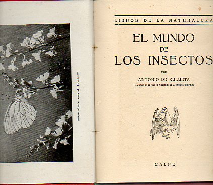 EL MUNDO DE LOS INSECTOS.