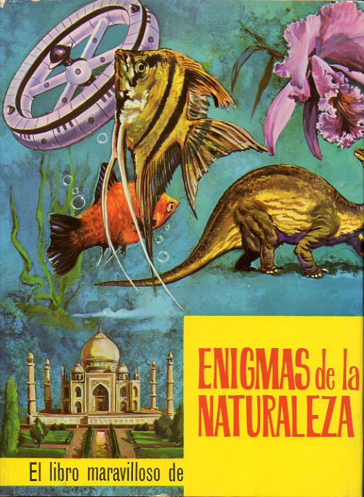 ENIGMAS DE LA NATURALEZA. Ilustrs. N. Battershill, A. W: Darnell y Rita Parsons.