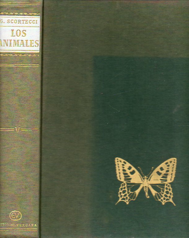 LOS ANIMALES. Cmo son, dnde viven, cmo viven. Vol. V. INSECTOS. Neurpteros. Mecpteros. Tricpteros. Lepidpteros. Dperos. Afanpteros. Colepter