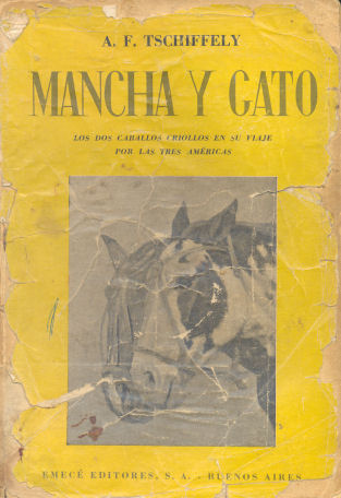 Mancha y gato