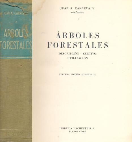 rboles forestales