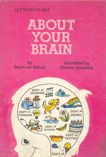 About your brain