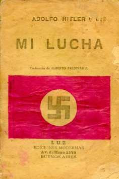 Mi lucha