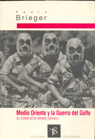 Medio Oriente y la guerra del Golfo - El conflicto rabe-israeli