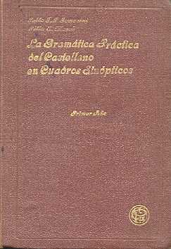 La gramatica practica del castellano en cuadros sinopticos