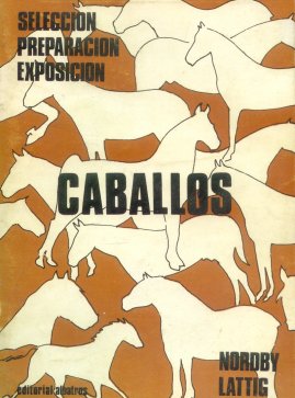 Caballos