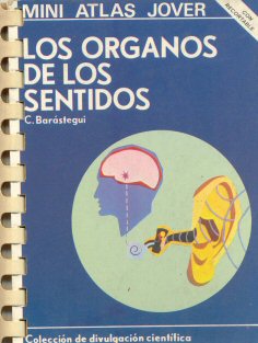 Los organos de los sentidos