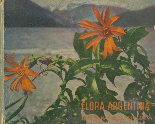 Flora de Nahuel Huap y Lanin