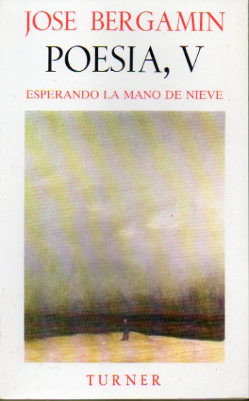 POESA, V. ESPERANDO LA MANO DE NIEVE (1978-1981).