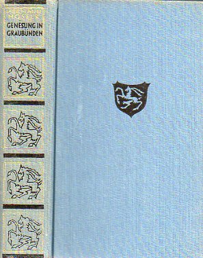 GENESUNG IN GRAUBNDEN. Roman eines Kurortes.