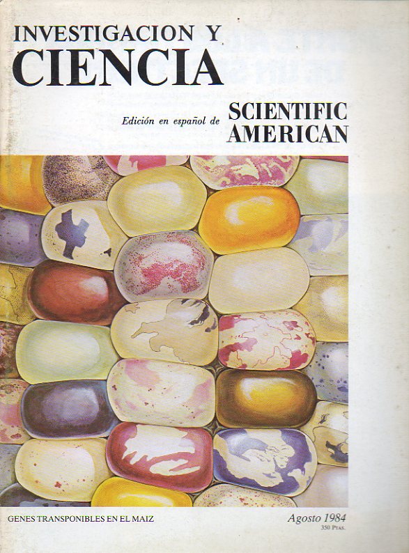 INVESTIGACIN Y CIENCIA. Edicin Espaola de Scientific American. N 95. Armas antisatlites. Metalurgia superficial precolombina. Extinciones masivas