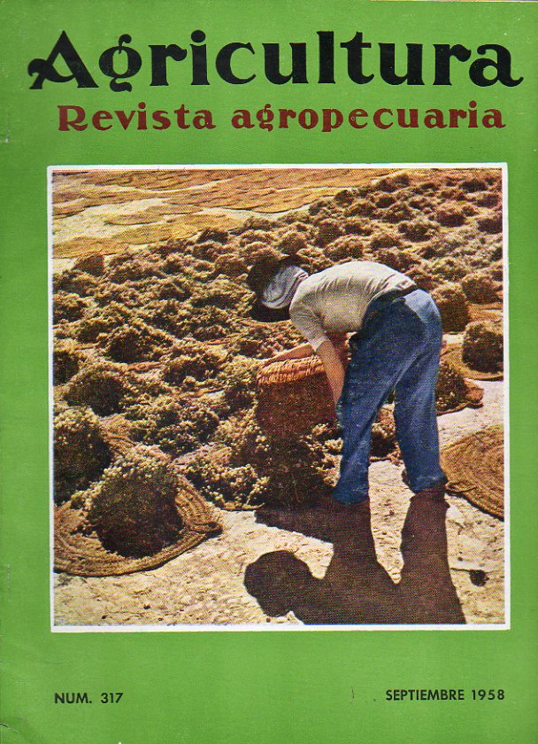 AGRICULTURA. Revista Agropecuaria. N 317. La plaga de la Rosquilla Negra; Los conservadores de naranjas; El cambio inico; Ms sobre seguros sociales