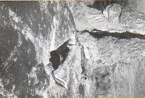 Tarjeta Postal: PARQUE ESCULTURAS TIERRAS ALTAS LOMAS DE ORO. PAMEN PEREIRA. 28 de Octubre al 26 de Noviembre de 2000.