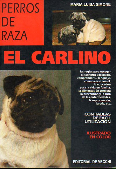 PERROS DE RAZA. EL CARLINO.