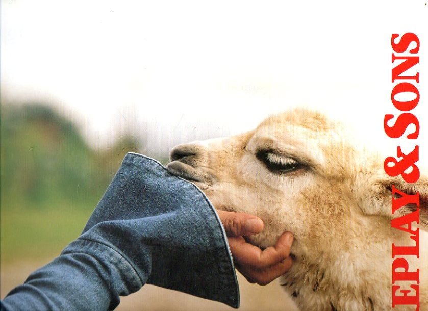 Cat�logo Publicitario: REPLAY & SONS. SPRING-SUMMER 2003. PER�. Fotograf�as de...