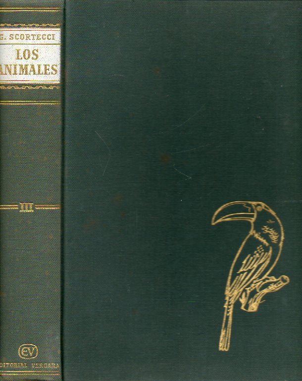 LOS ANIMALES. Cmo son, dnde viven, cmo viven. Vol. III. AVES: Neognatos. Paseriformes. Piciformes. Coraciformes. Trogoniformes. Coliformes. Caprimu