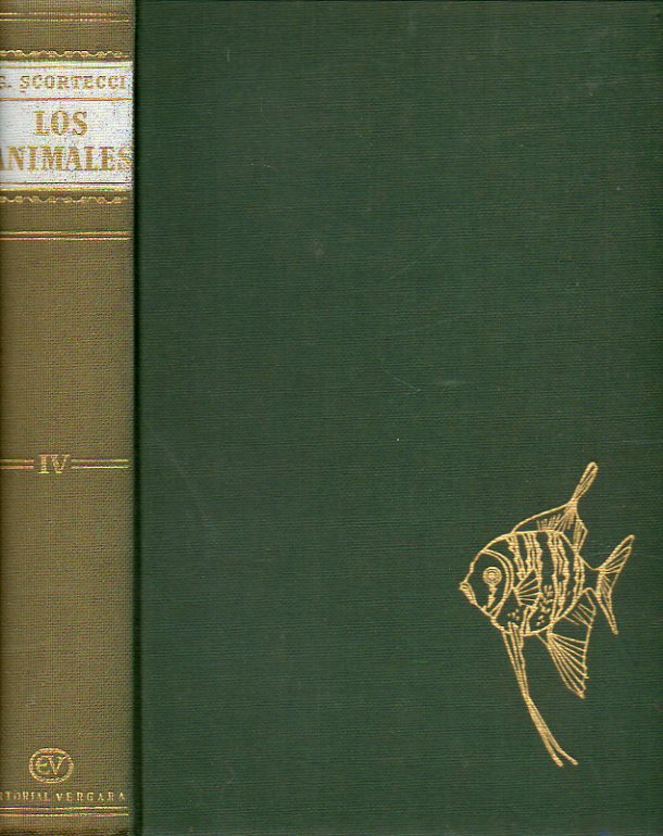 LOS ANIMALES. Cmo son, dnde viven, cmo viven. Vol. IV. ANFIBIOS-PECES:  Lepospndilos. podos. Urodelos. Microsaurios. Nctridos. Aistpodos. APsid