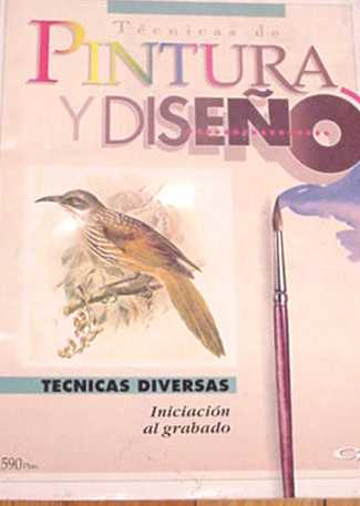 Tecnicas de pintura y diseo: Tecnicas Diversas