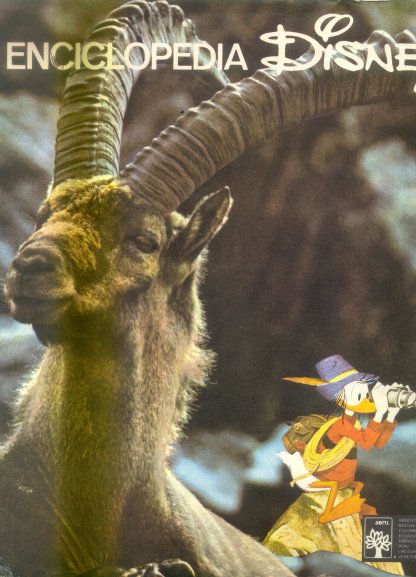 Enciclopedia disney numero: 20